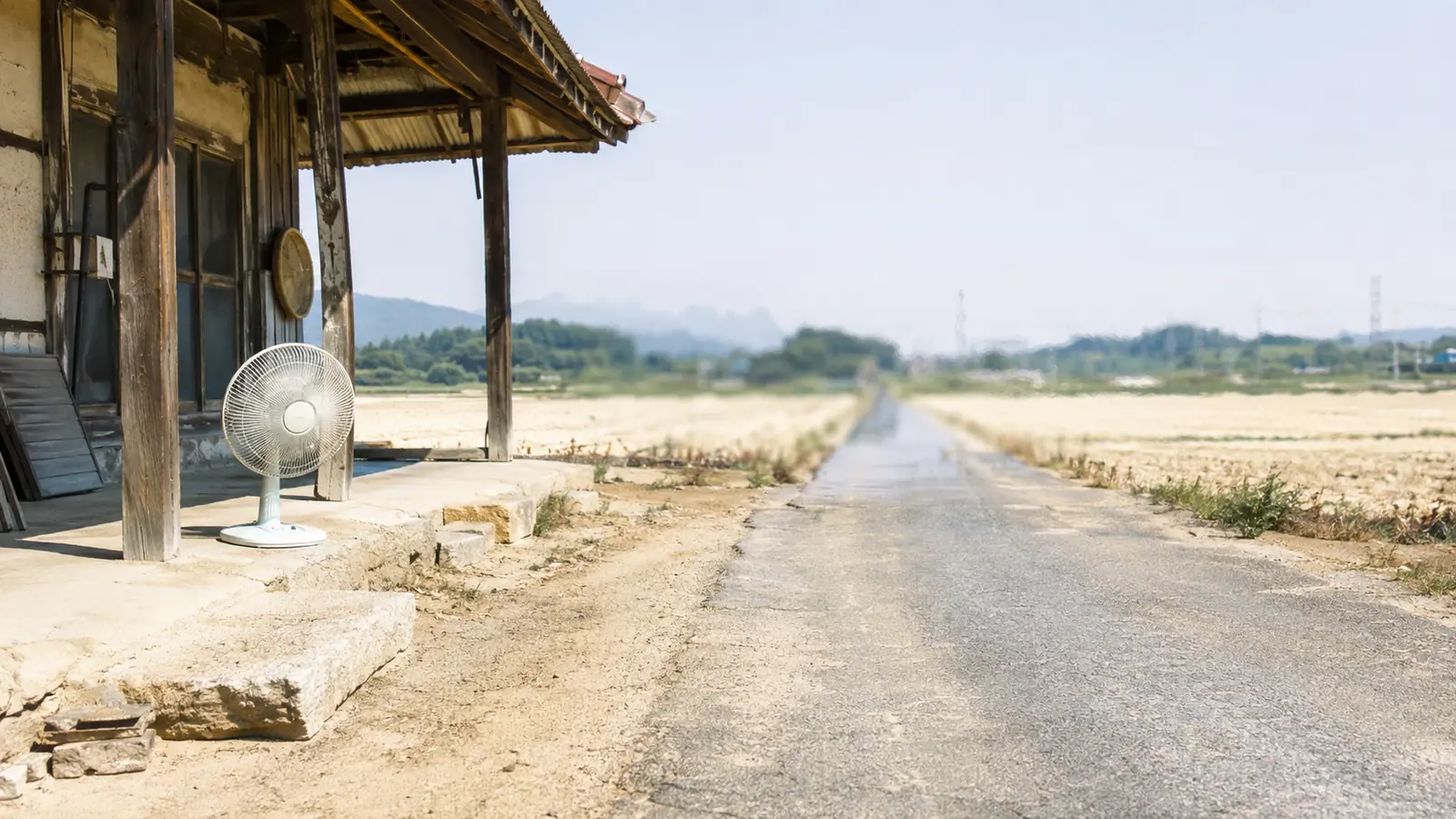 Heat shimmer dissolving a rural Korean road at midday, rice fields bleached pale on either side