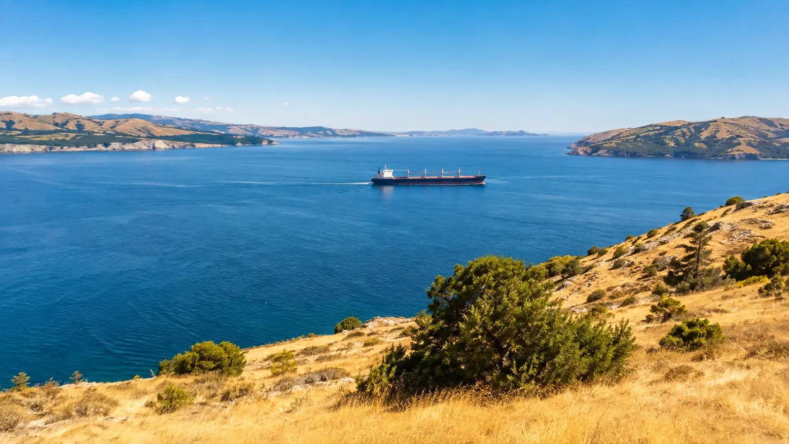 A wide sunlit strait seen from a coastal hillside, a cargo ship crossing in the distance