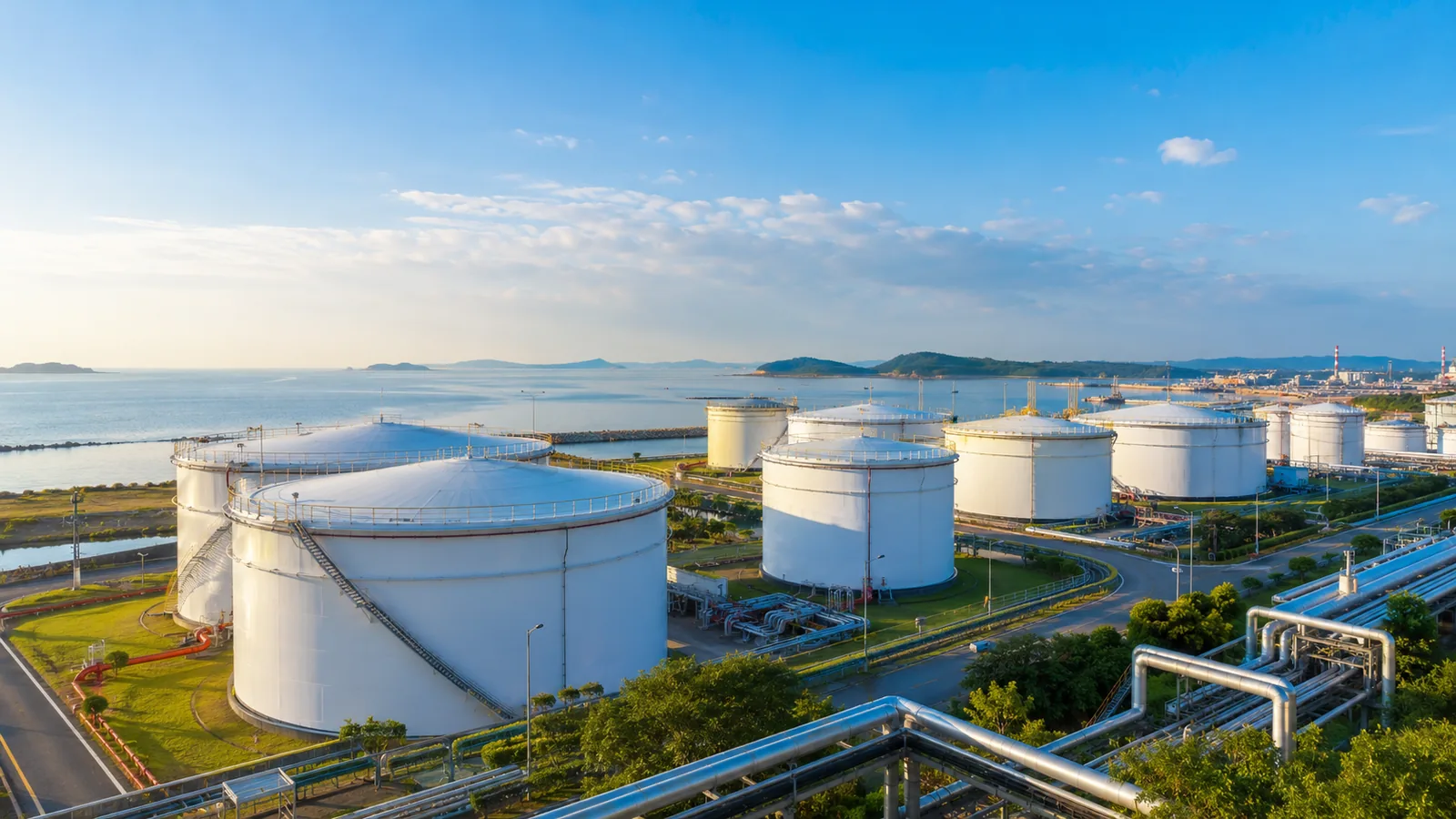 A coastal oil storage facility in clear morning light, rows of white cylindrical tanks and silver pipework beside green grass